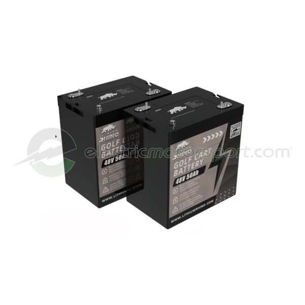 Lithium Rhino 48V 100Ah Dual-Module Battery System
